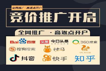 谷歌竞价广告在电商行业的运用案例